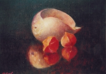 Muschel350.jpg (76498 Byte)